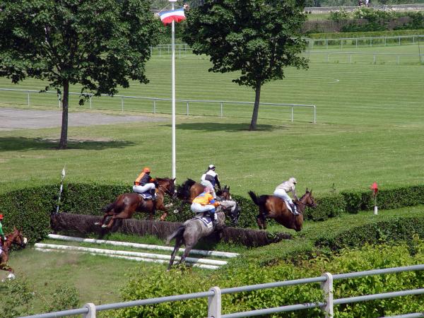 thumbs/01-06-2009_14h21.jpg.jpg